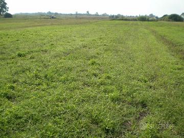 Terreno di 3349 mq a Fondi (Lt) località Salto