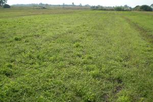 Terreno di 3349 mq a Fondi (Lt) località Salto