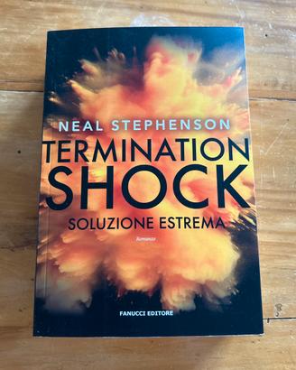 Termination shock - Soluzione estrema
