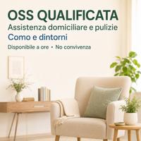 Badante/ addetta alle pulizie