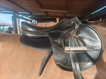 Sella equipe expression d