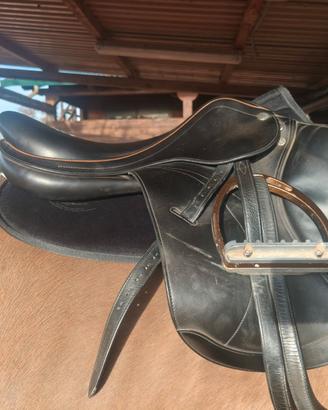 Sella equipe expression d