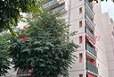 appartamento-pioltello-cod-rif-3259183vrg-