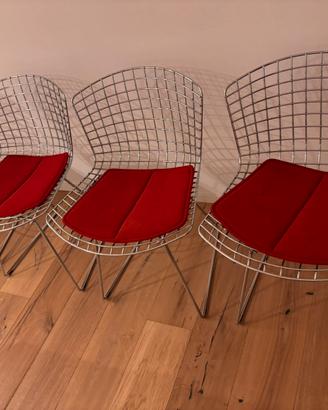 Sedie Bertoia Knoll