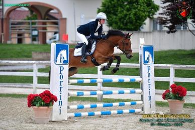 Pony salto ostacoli