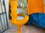 Immagine 2