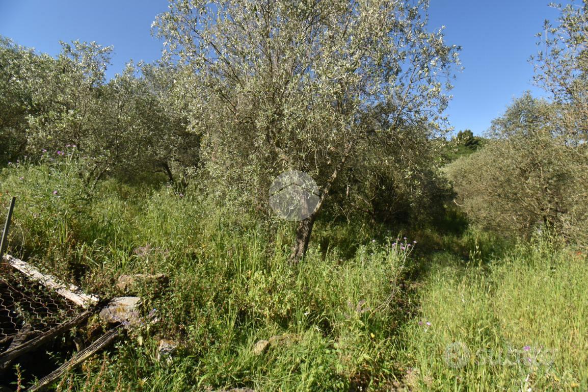 TER. AGRICOLO A TORCHIARA - Vista 2