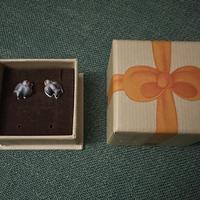 Orecchini rondine Thun