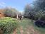 Immagine 19