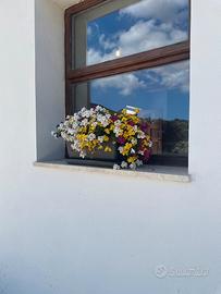 Casa in campagna a Teulada, Sud Sardegna