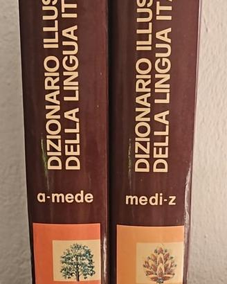 Dizionario illustrato lingua italiana Curcio