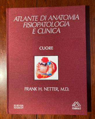 Netter atlante di anatomia fisiopatologia e clinic