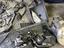 Immagine 16