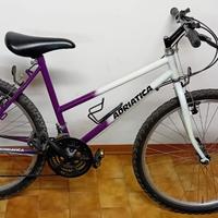 Mountain bike