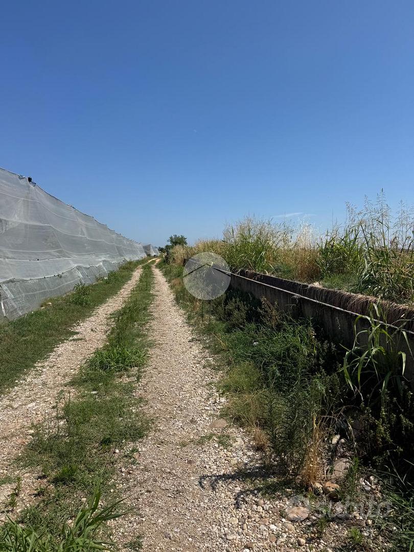 TER. AGRICOLO A VERONA - Vista 4