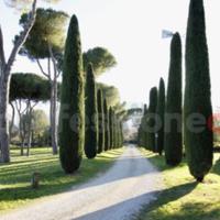 Villa unifamiliare