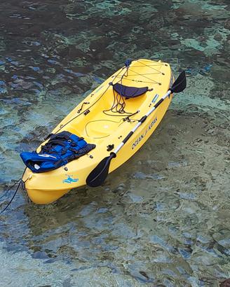 kayak ocean