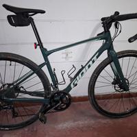 Giant Revolt 2 M gravel