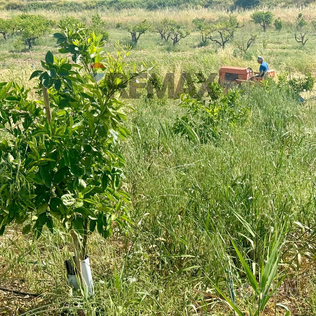 Terreno - Paternò - Vista 5