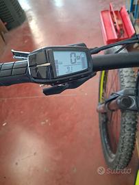 bicicletta elettrica 