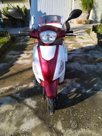 Altro Altro modello - 2024