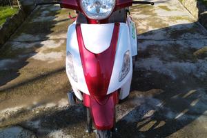 Altro Altro modello - 2024