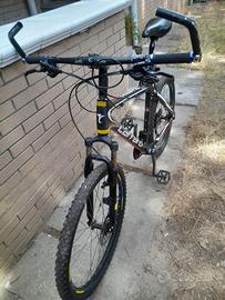 Mountain bike telaio in carbonio