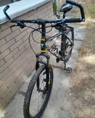 Mountain bike telaio in carbonio