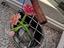 Immagine 2