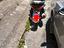 Immagine 1