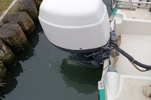 Selva dorado 40 xs 4 tempi