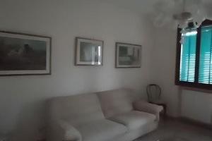 Venezia- Murano quadri contratto transitorio