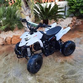 QUAD 110CC