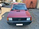 fiat-panda-900-i-e-cat-young