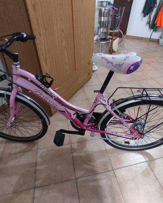 bicicletta 