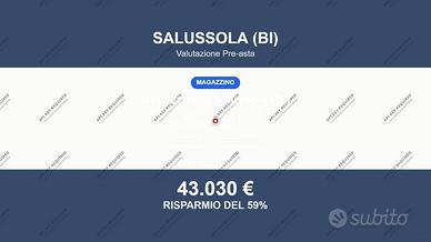 Immobile in asta di 495 m² a Salussola