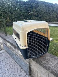 Trasportino rigido per cani di taglia media, corre