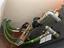 Immagine 4