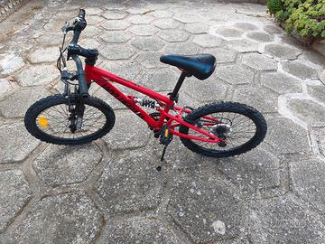 Bici da 20 bambino 