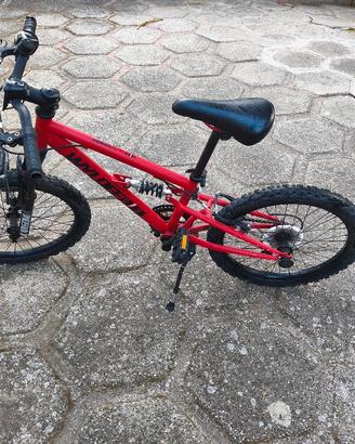 Bici da 20 bambino 