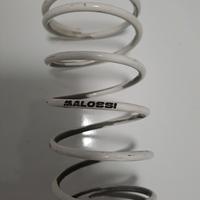 kit malossi centralina  e variatore 