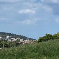 Terreno Agricolo 1200 MQ