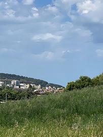 Terreno Agricolo 1200 MQ