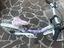 Immagine 3