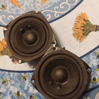 altoparlanti fullrange 10 cm