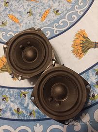altoparlanti fullrange 10 cm