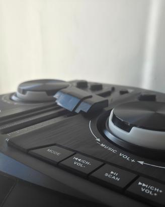 cassa con microfono 