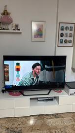 Tv hosense 58 pollici cone schermo danneggiato