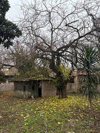 Spazio immerso nel verde a Roma Tiburtina