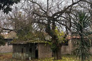 Spazio immerso nel verde a Roma Tiburtina